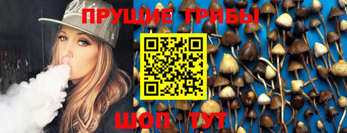 дарнет шоп  Вход с VPN  Горячий Ключ  Псилоцибиновые грибы Cubensis 
